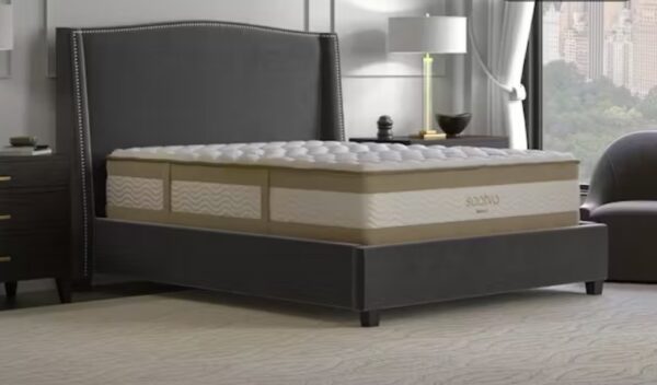 Saatva Rx Organic Cotton USA Made Mattress (Luxury Hybrid)